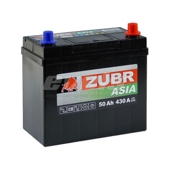 ZUBR Premium Азия  6ст-50 R+ B24