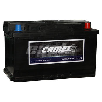 CAMEL AGM 80.0 L4 обр.